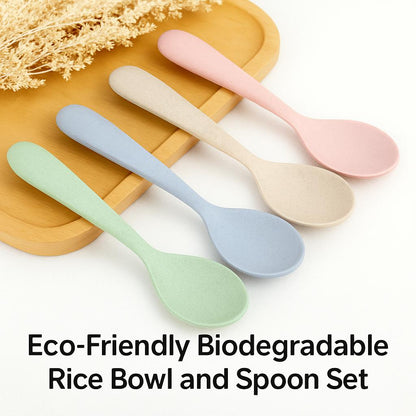 Eco-Friendly Biodegradable Rice Bowl and Spoon Set