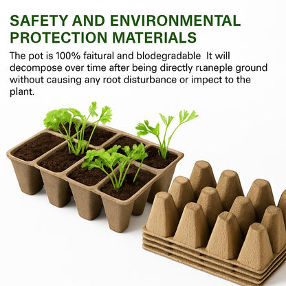 Biodegradable Pulp Seedling Tray for Eco-Friendly Gardening