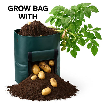 Eco-Friendly Reusable Grow Bag for Urban Gardening