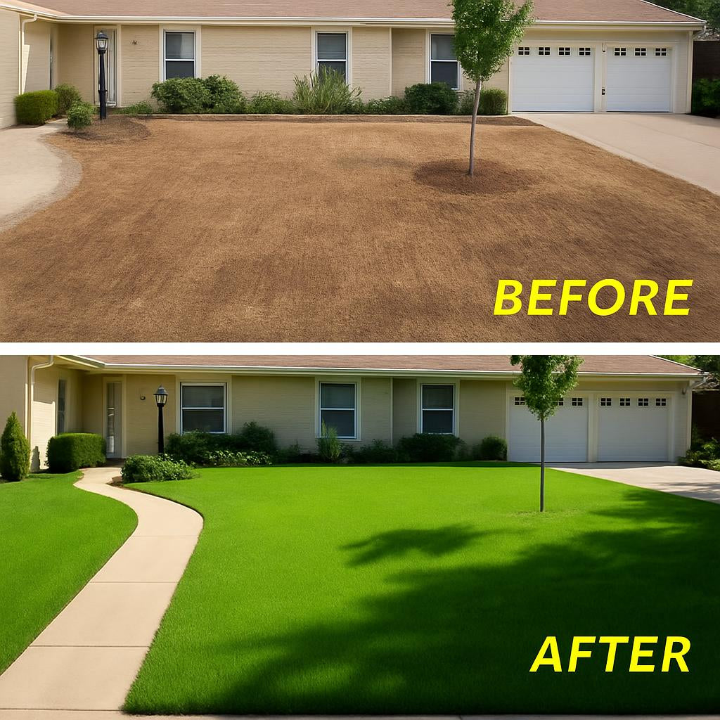 Eco-Friendly Biodegradable Grass Seed Mat for Sustainable Lawn Care