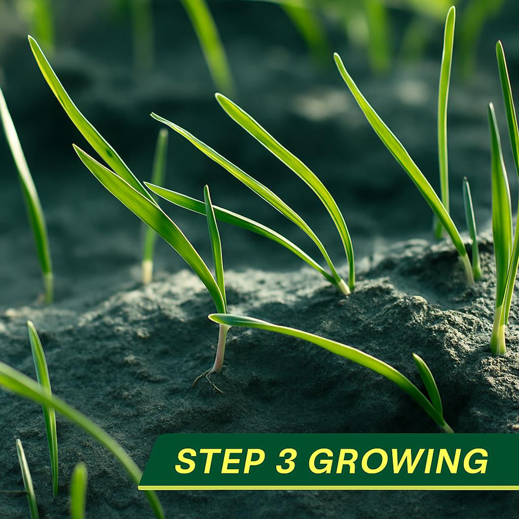 Eco-Friendly Biodegradable Grass Seed Mat for Sustainable Lawn Care